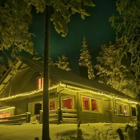 Arctic Bear - Lapland - Aurora - Sauna - Northern Lights פארק נופש ראנואה