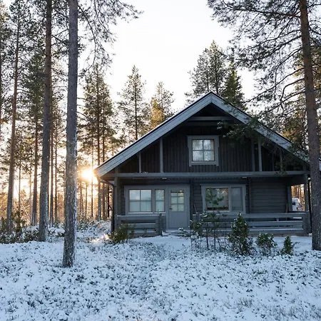 Arctic Bear - Lapland - Aurora - Sauna - Northern Lights