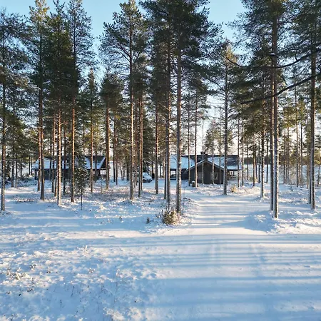 Arctic Bear - Lapland - Aurora - Sauna - Northern Lights 4*