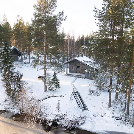 Arctic Bear - Lapland - Aurora - Sauna - Northern Lights