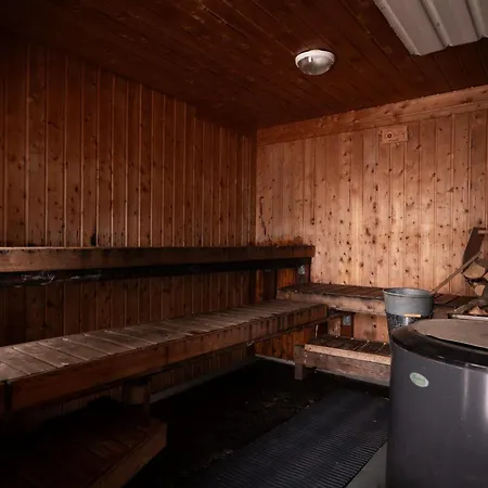 Arctic Bear - Lapland - Aurora - Sauna - Northern Lights Ranua