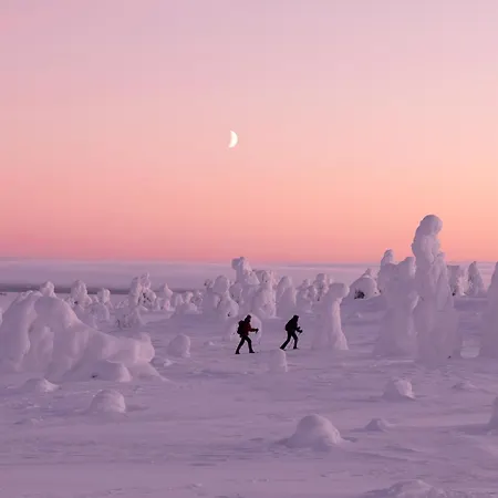 Arctic Bear - Lapland - Aurora - Sauna - Northern Lights Lomakylät