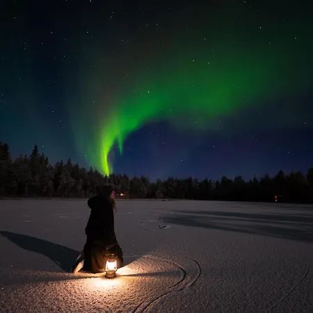 Arctic Bear - Lapland - Aurora - Sauna - Northern Lights 4*