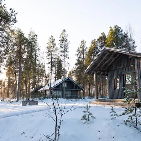 Arctic Bear - Lapland - Aurora - Sauna - Northern Lights 4*