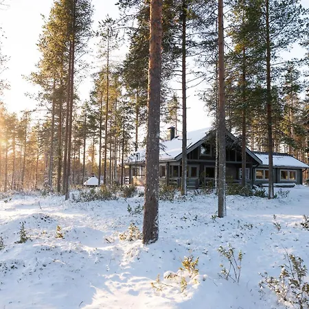 Arctic Bear - Lapland - Aurora - Sauna - Northern Lights ראנואה