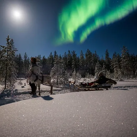Arctic Bear - Lapland - Aurora - Sauna - Northern Lights Рануа