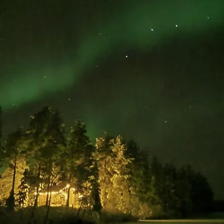 Arctic Bear - Lapland - Aurora - Sauna - Northern Lights Lomakylät
