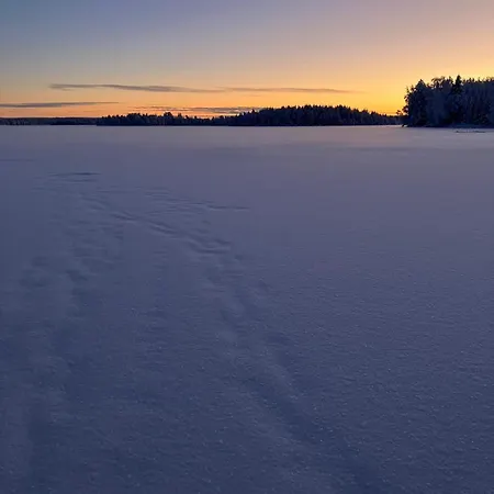Arctic Bear - Lapland - Aurora - Sauna - Northern Lights Lomakylät 4*